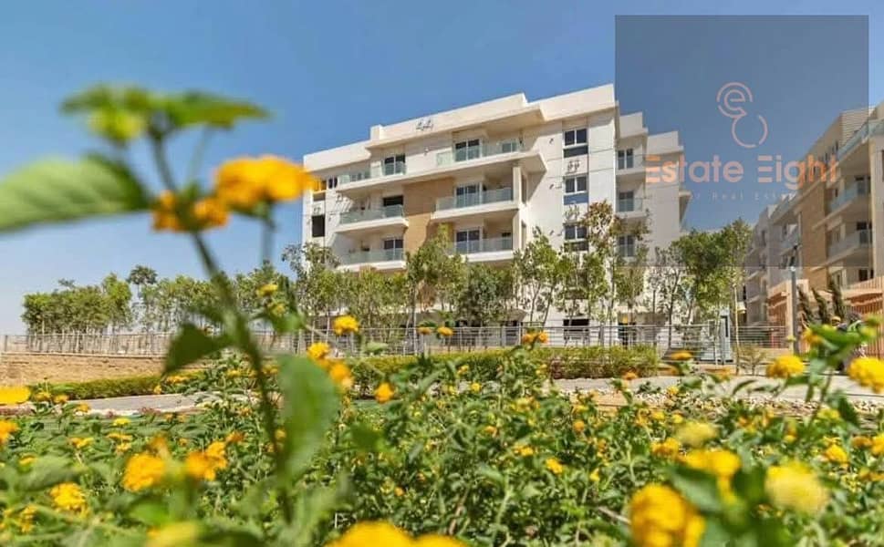 2 WhatsApp Image 2025-07-23 at 4.07. 18 AM. jpeg