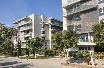 10 556062675_122133069848928156_8790018502222194781_n. jpg