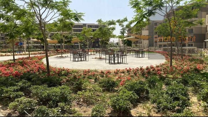 6 529691057_122119715216928156_1731839812994956713_n. jpg