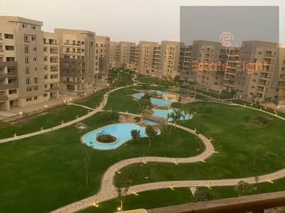 3 Bedroom Flat for Rent in New Cairo, Cairo - WhatsApp Image 2025-12-07 at 2.20. 17 PM. jpeg