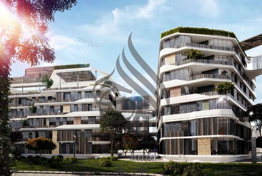 IMG-20241210-WA0385. jpg IMG-20241210-WA0385. jpg