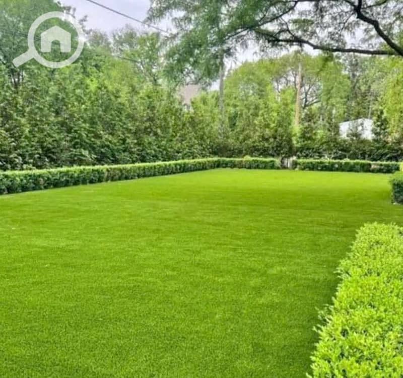 2 565800978_1354603756242314_5003647957322433899_n. jpg