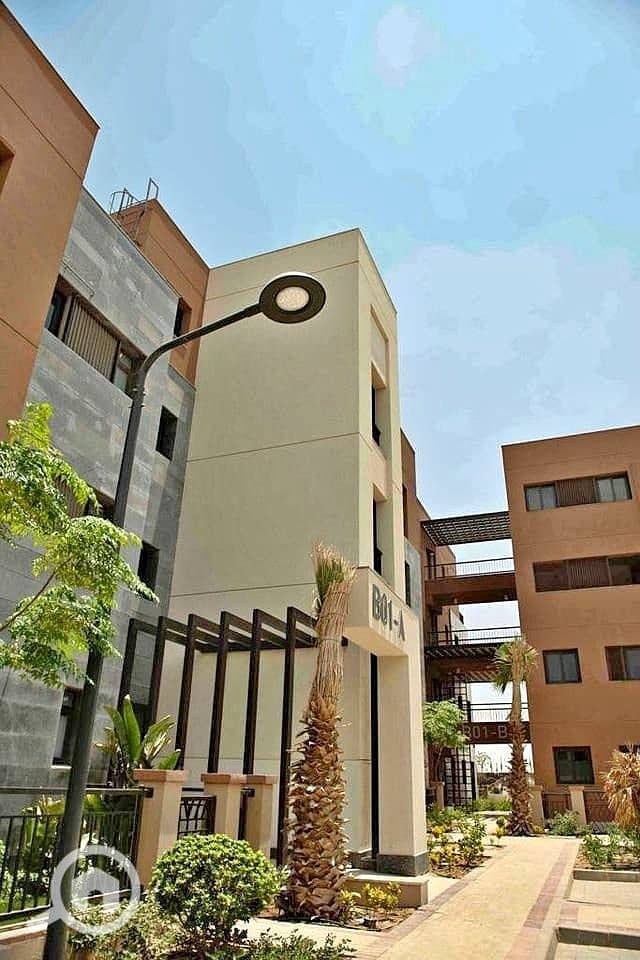 4 WhatsApp Image 2025-12-11 at 4.41. 20 PM. jpeg