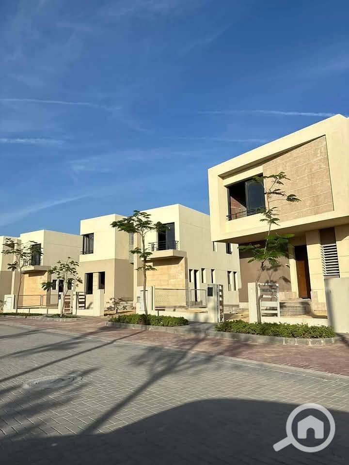 2 photo_2025-03-20_02-29-59. jpg