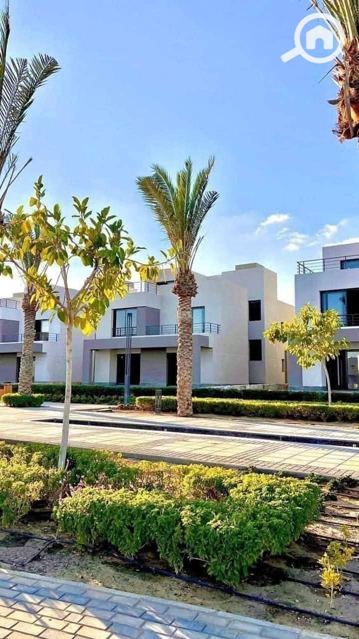 4 photo_2025-01-20_20-57-24. jpg