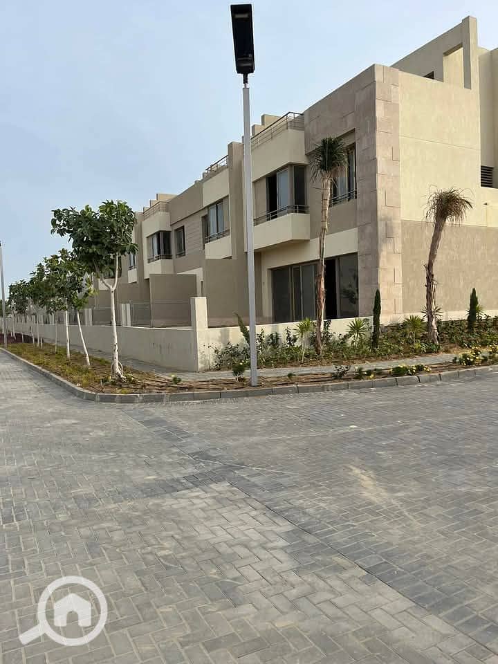 6 photo_2025-03-20_02-29-31. jpg