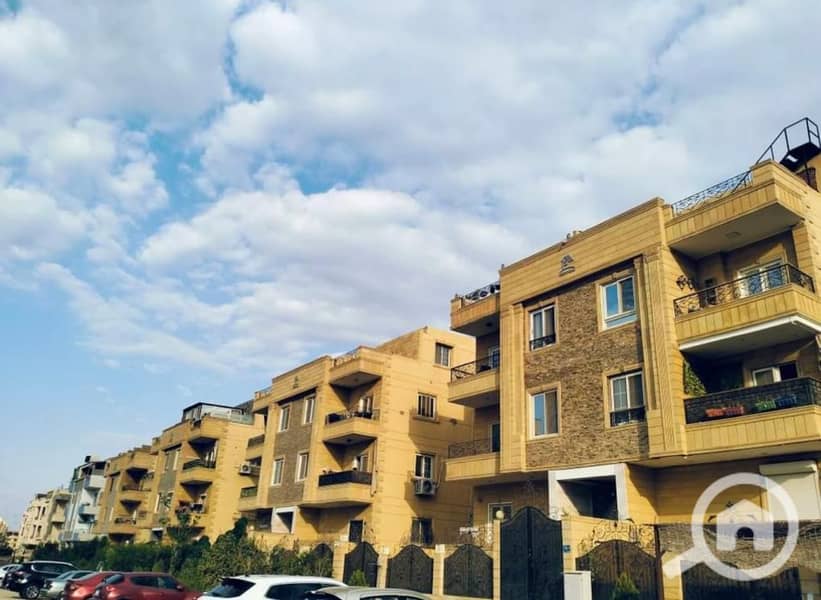 5 25911ed7-a818-4e66-9a7c-37e6a2e4904e. jpg