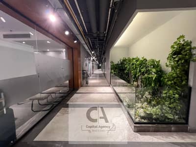 Office for Rent in New Cairo, Cairo - 4e3e87cd-ce97-4845-b2c4-372045f17300. jpg