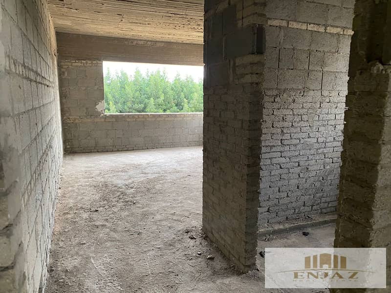 13 53963773-d37b-4bce-9dda-79c48aeaf8f5. jpg