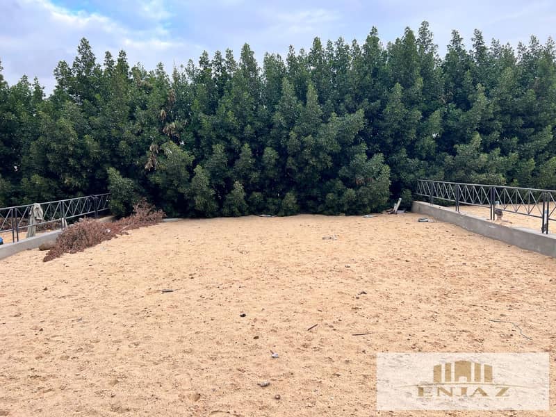 18 bc735f7b-1fe2-4db1-abc4-56a28130ac3b. jpg