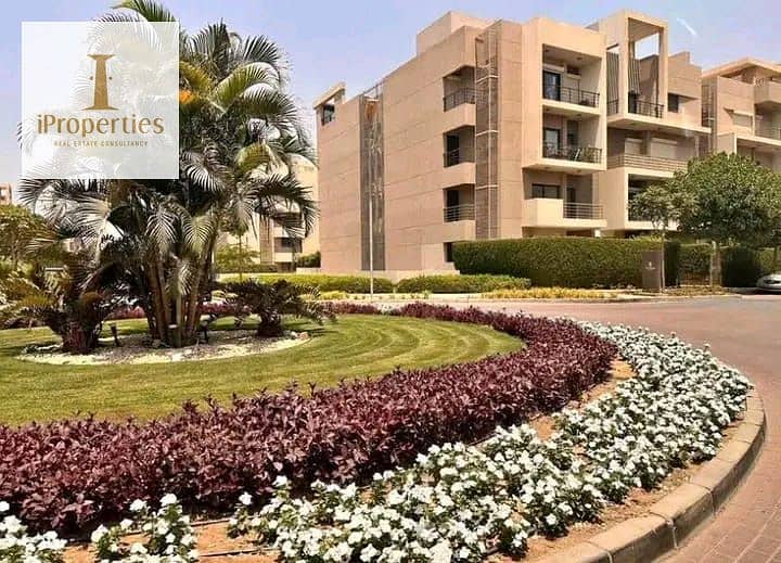 5 558176946_1369508864711360_1776325077690455607_n. jpg