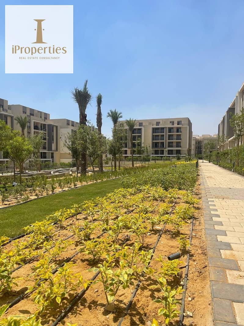 10 ac9c7345-090d-49d3-a5bc-74edae638b5c. jpg