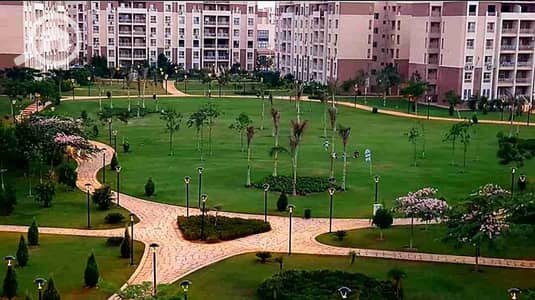 3 Bedroom Flat for Sale in Madinaty, Cairo - 1000395371. jpg 3 Bedroom Flat for Sale in Madinaty, Cairo - 1000395371. jpg