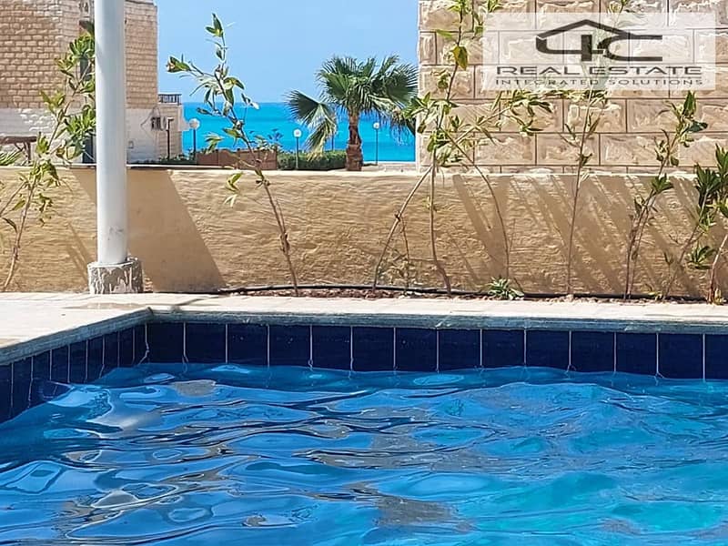 8 560456320_1157884069650383_8054116185191176385_n. jpg