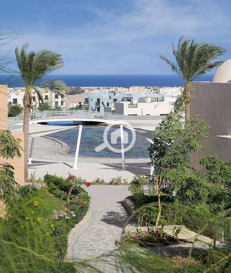 6 photo_2025-02-01_20-12-54. jpg