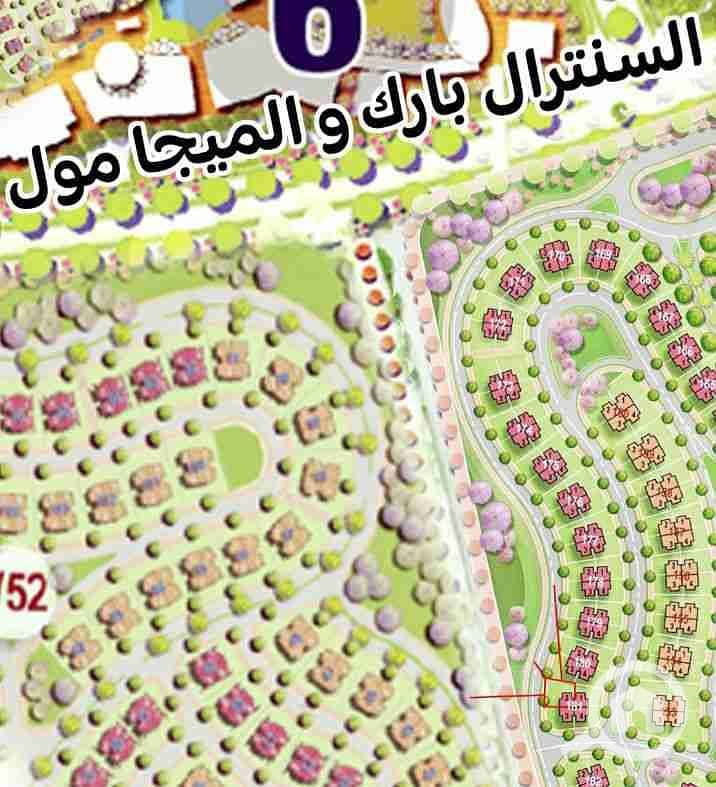 251895. jpg 251895. jpg