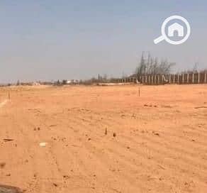 3 b7b127bf-15f6-4c46-9325-b06aea0a7be0. jpg