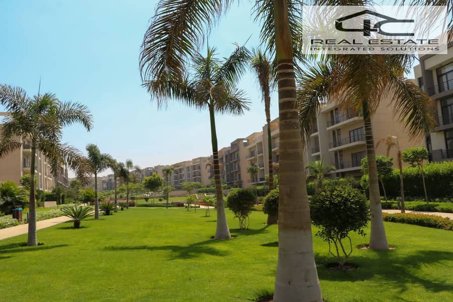 5 WhatsApp Image 2024-06-27 at 5.03. 19 PM. jpeg