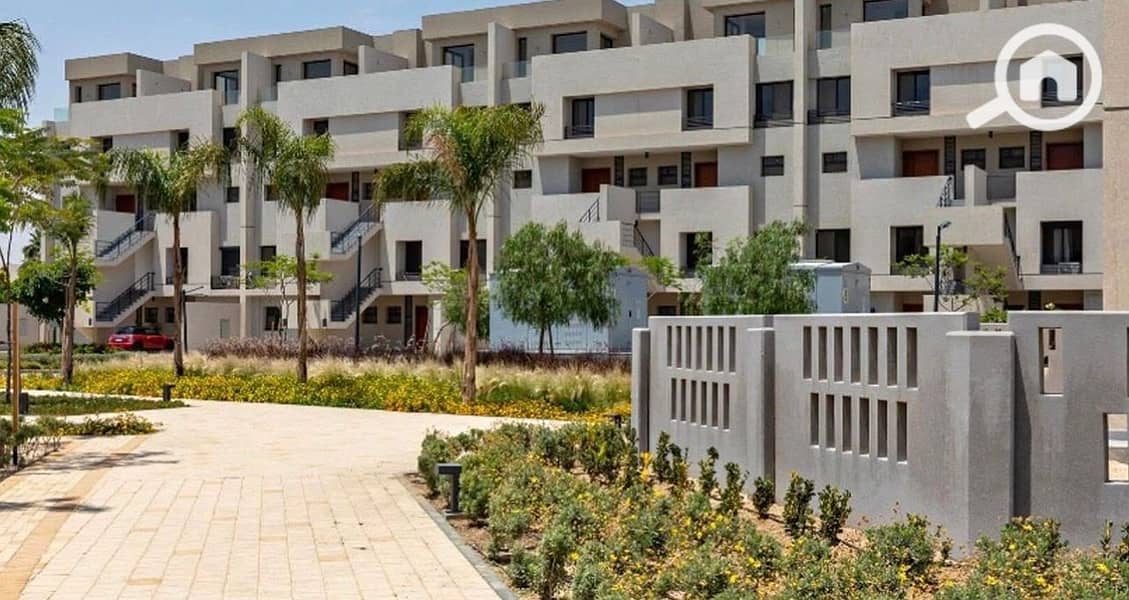 IMG_2870. jpeg IMG_2870. jpeg