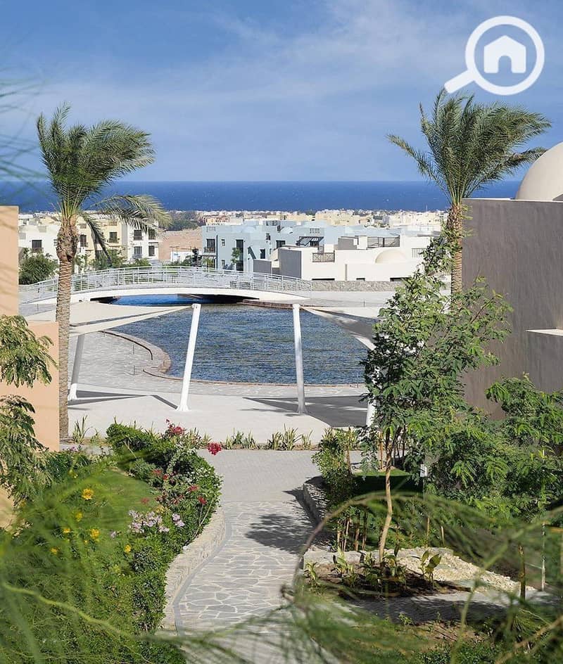 4 photo_2025-02-01_20-12-54. jpg