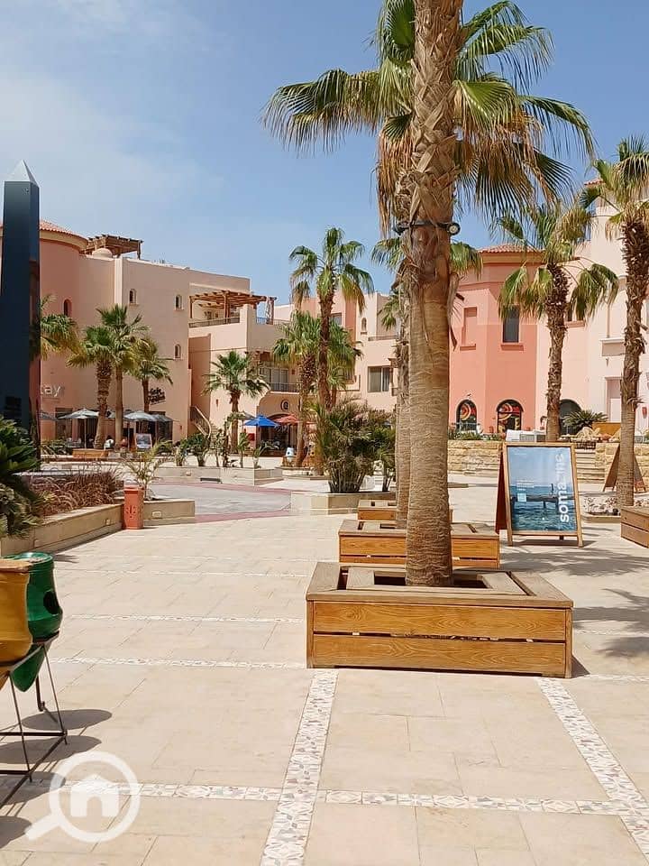 7 498943200_1434555387495361_357827308849411765_n. jpg