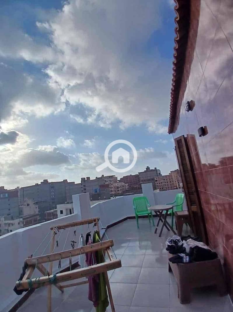 2 9e7774ba-77f9-432c-80a1-e43f283b0f17. jpg