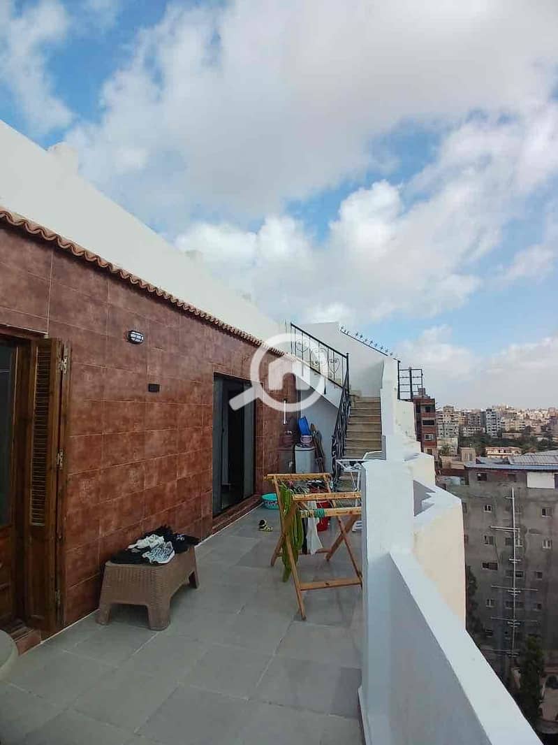 22 a2947384-c0f9-4b3d-8be7-8336b67fe9d5. jpg