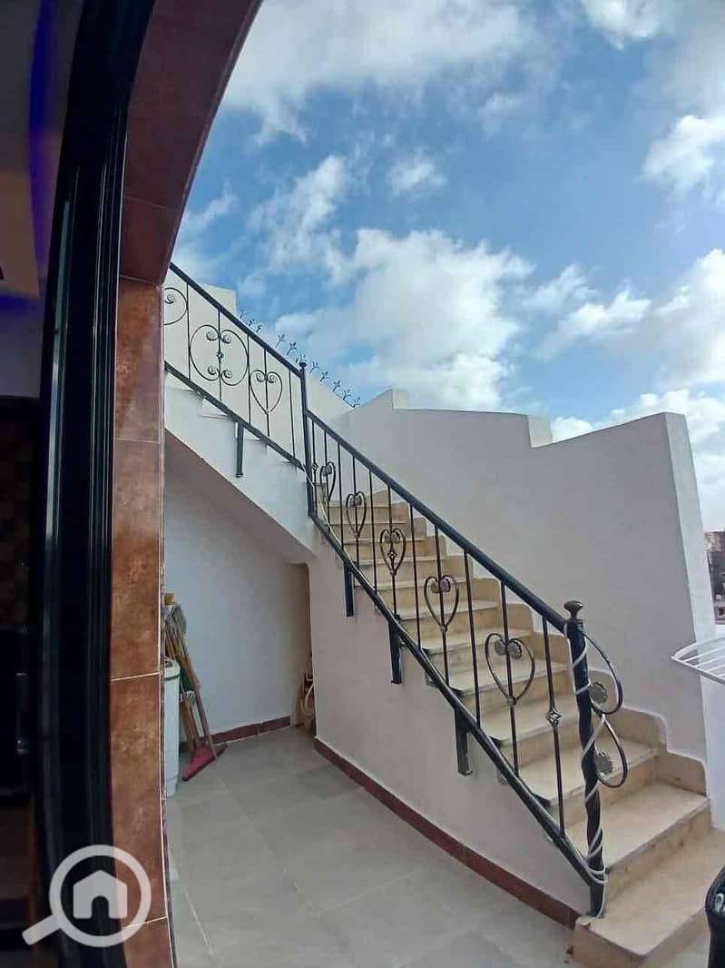 30 3b874bcb-46b3-4cfc-85e6-8125dfdd9d9e. jpg