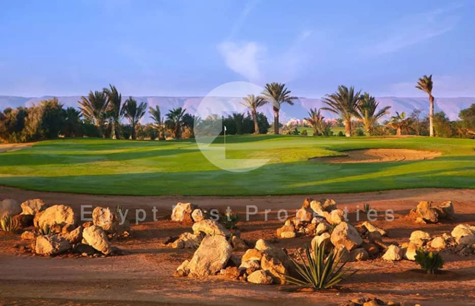 5 IMG-20250317-WA0247. jpg