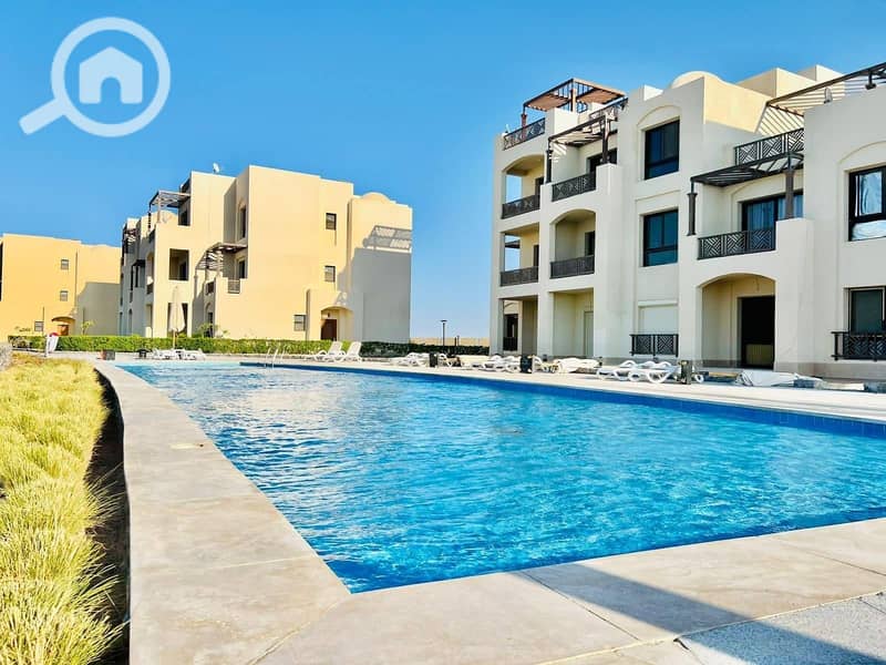 7 480343610_558581360562778_1036700409195447725_n. jpg