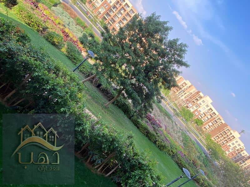 14 514362053_1476393866702626_7676576056986687970_n. jpg