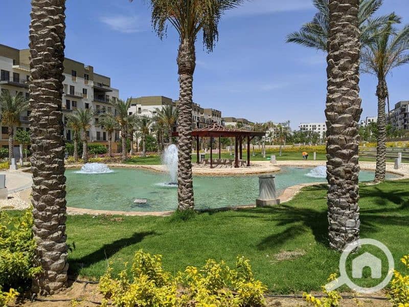 8 Untitled design (97). png