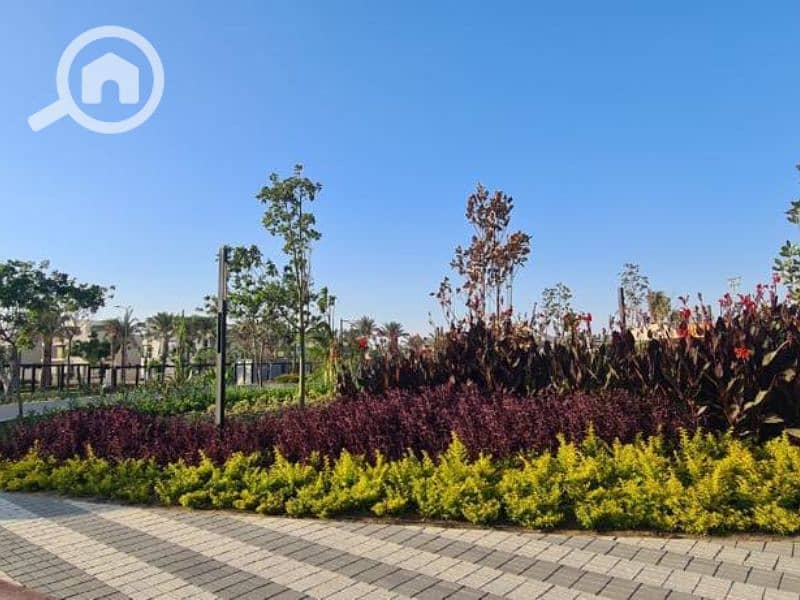 11 Untitled design (100). png