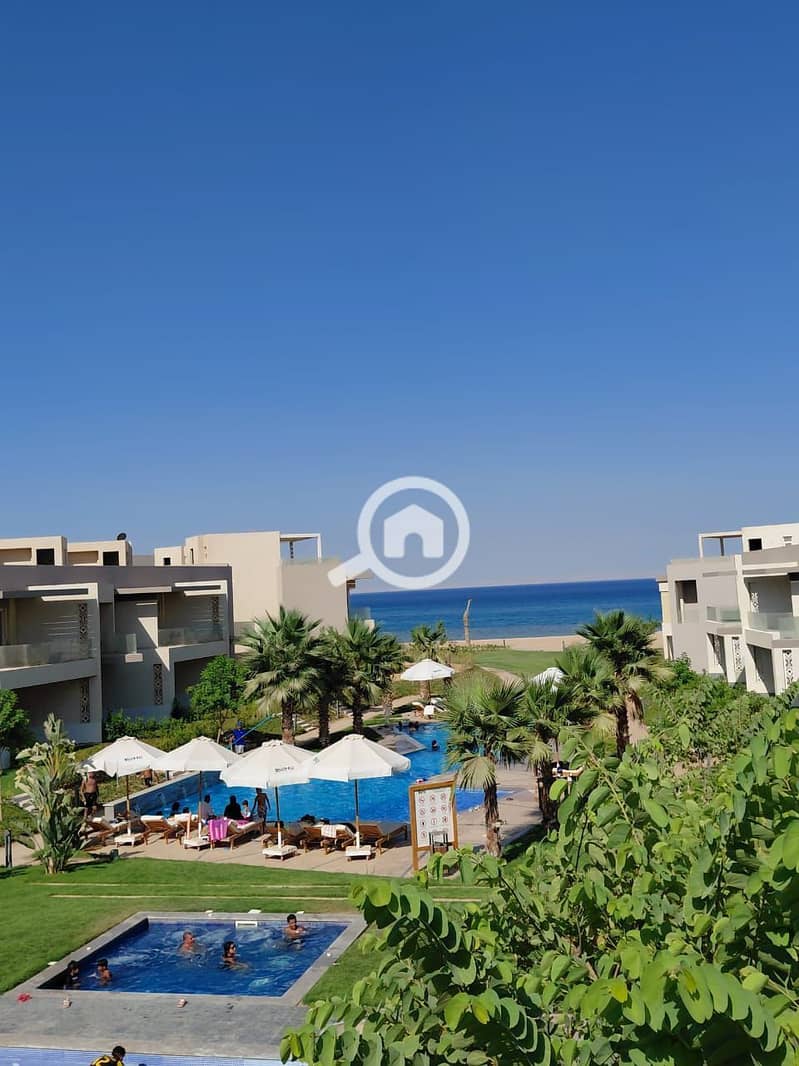 3 photo_2025-08-20_03-07-13. jpg