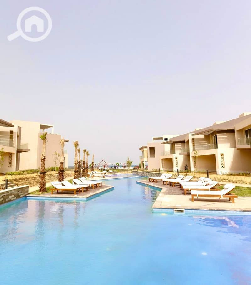 10 photo_2025-02-21_18-53-47. jpg