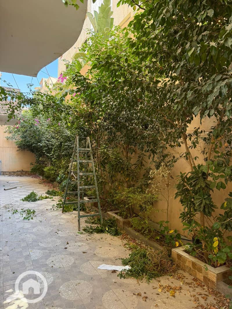 5 31ebb5fe-ff4b-4c37-b050-bb0b7f4dd353. jpg