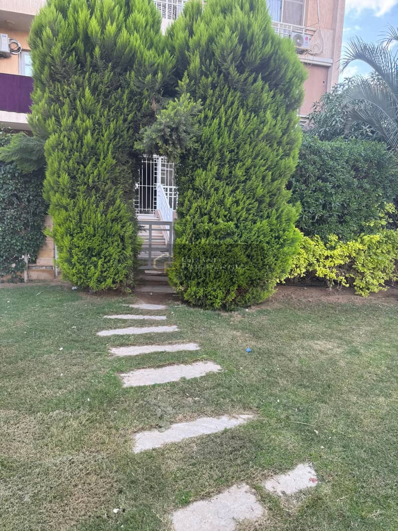 6 be2c4b63-22f8-49de-bf67-d401eba1e7e3. jpg