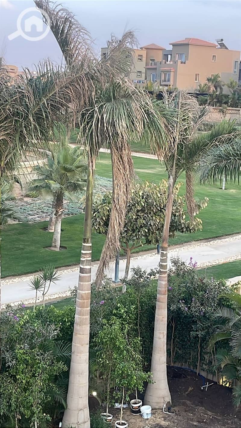 7 edf9215b-f073-4903-90e7-fbf855bee001. jpg