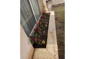 16 WhatsApp Image 2025-11-05 at 3.45. 43 PM (1). jpg