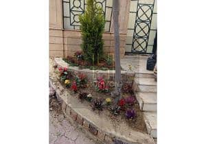 17 WhatsApp Image 2025-11-05 at 3.45. 45 PM (2). jpg