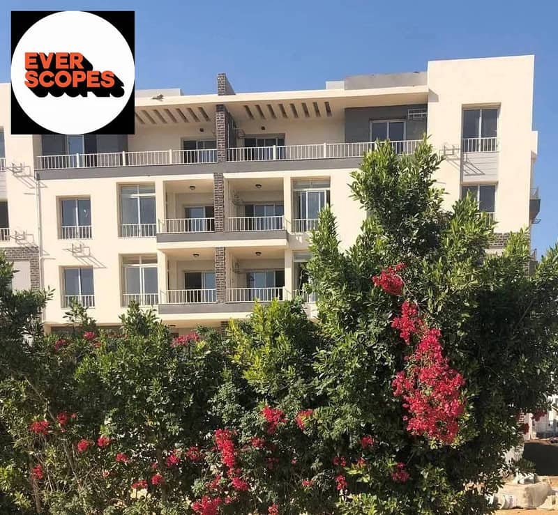 589095287_4323407181223931_1285098378562777988_n. jpg 589095287_4323407181223931_1285098378562777988_n. jpg