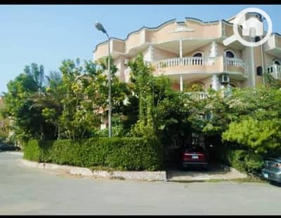 فلیٹ 3 غرف نوم للايجار في القاهرة الجديدة، القاهرة - 5f22cf7a-d723-4668-baa2-fc674a7ed7a4. jpg