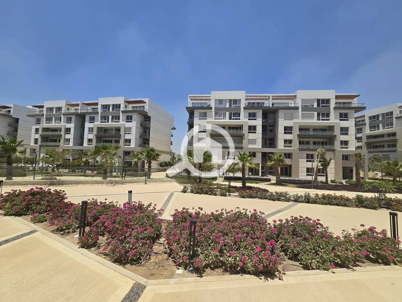 3 FB_IMG_1764969344998. jpg