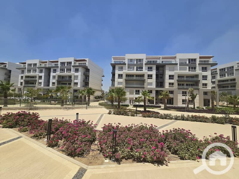 3 FB_IMG_1764969344998. jpg