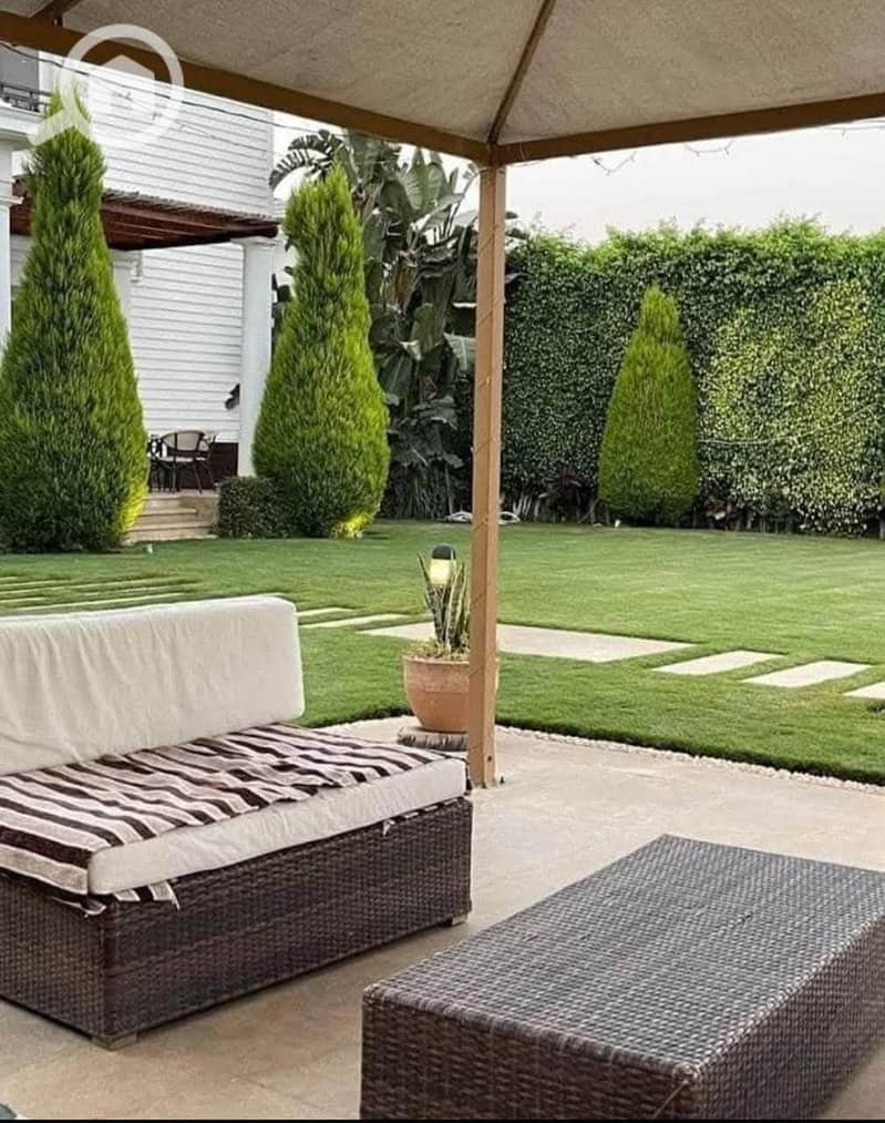 4 FB_IMG_1764969419912. jpg