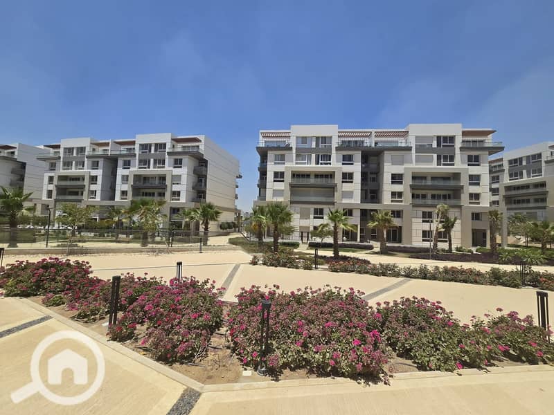 5 FB_IMG_1764969344998. jpg