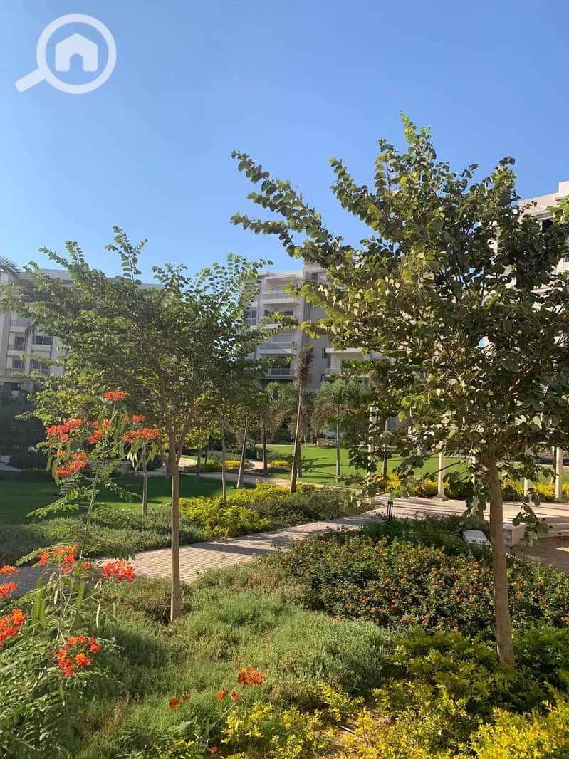 8 FB_IMG_1764969396916. jpg