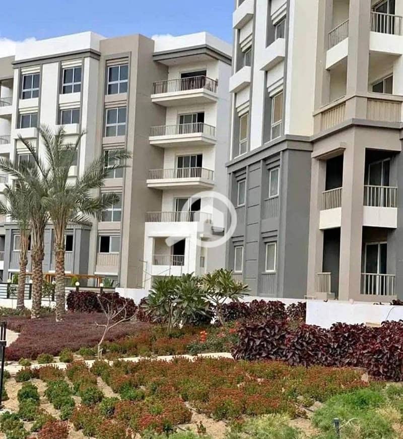 3 FB_IMG_1764969325916. jpg