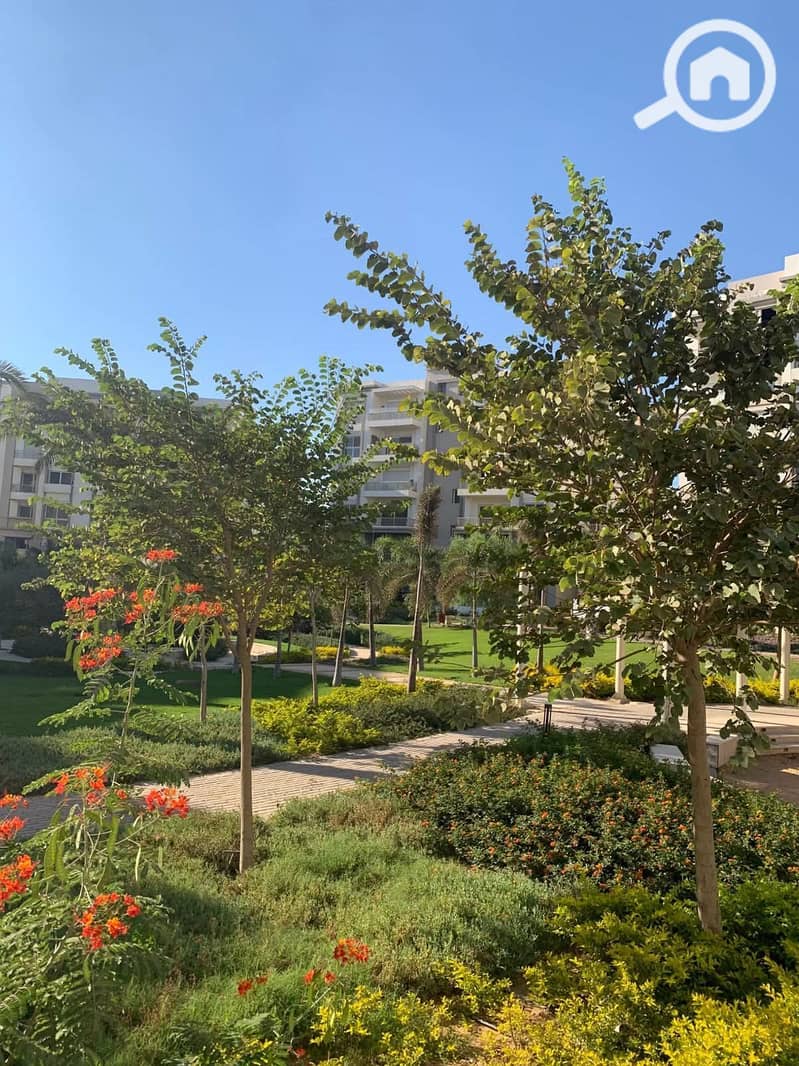 8 FB_IMG_1764969396916. jpg