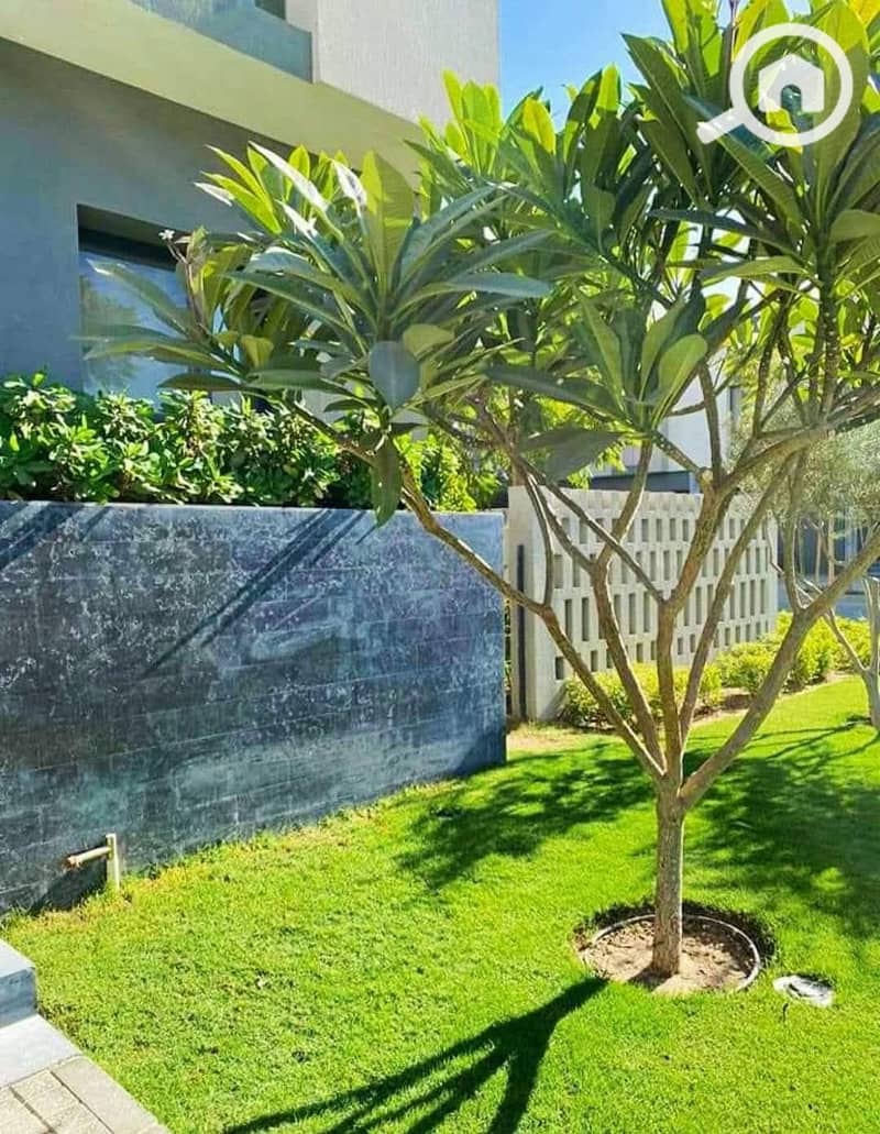 8 FB_IMG_1762014825352. jpg